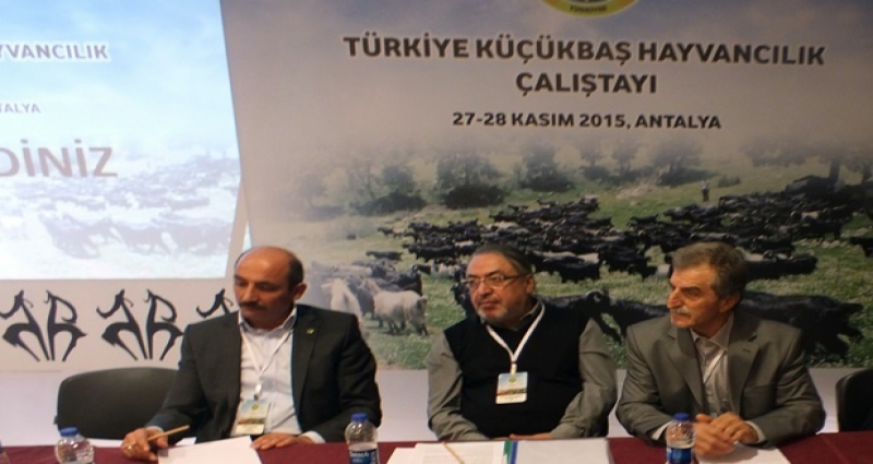TÜRKİYE KÜÇÜKBAŞ HAYVANCILIK ÇALIŞTAYI