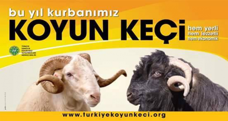 BU YILDA KURBANINIZ KOYUN KEÇİ OLSUN